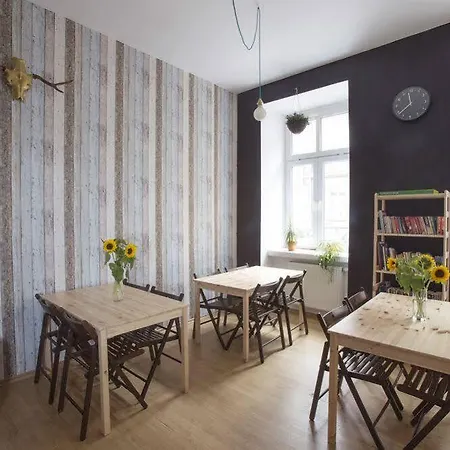 Cinnamon * Cracóvia