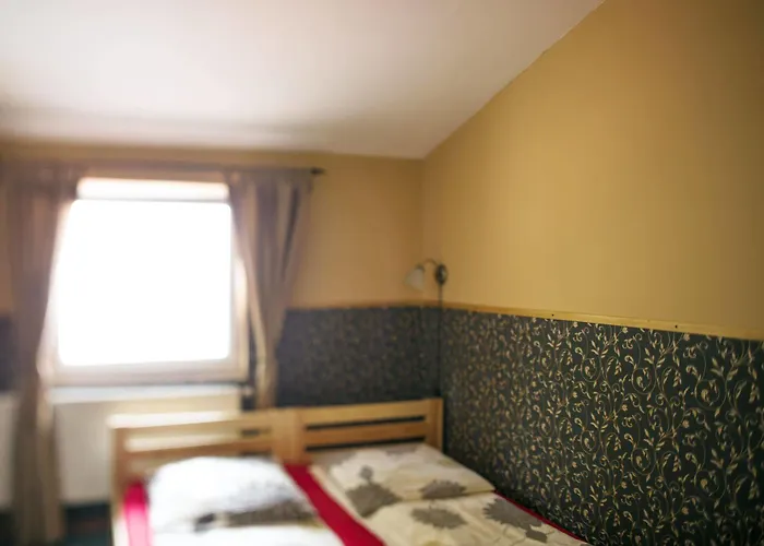 Cinnamon * 克拉科夫